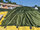 Covered compost pile with GORE® Cover